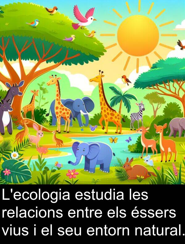 natural: L'ecologia estudia les relacions entre els éssers vius i el seu entorn natural.