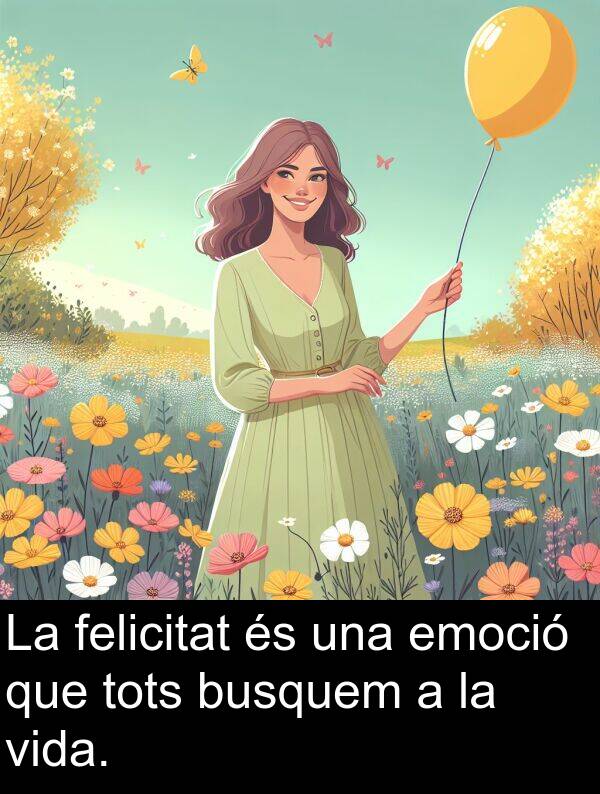 felicitat: La felicitat és una emoció que tots busquem a la vida.
