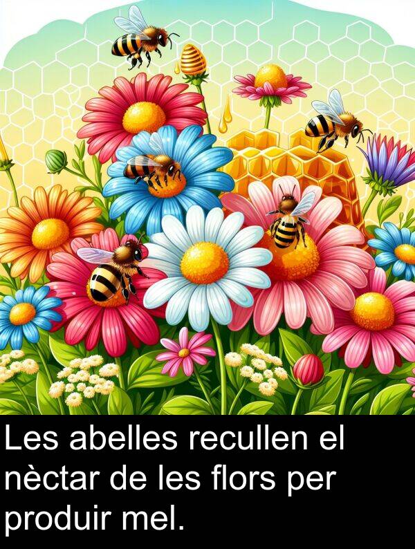 nèctar: Les abelles recullen el nèctar de les flors per produir mel.