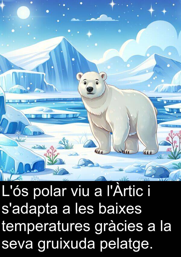 polar: L'ós polar viu a l'Àrtic i s'adapta a les baixes temperatures gràcies a la seva gruixuda pelatge.
