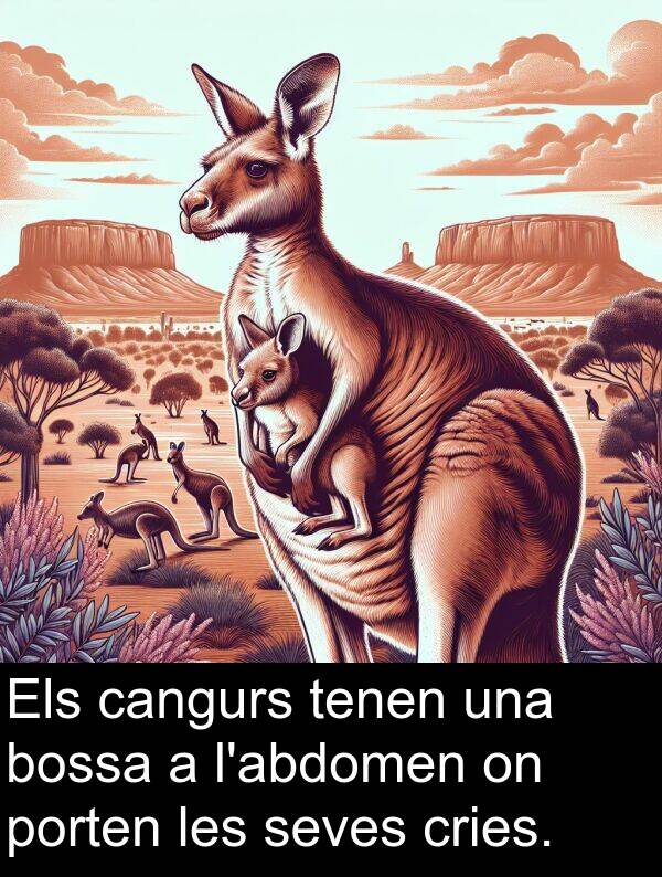 tenen: Els cangurs tenen una bossa a l'abdomen on porten les seves cries.