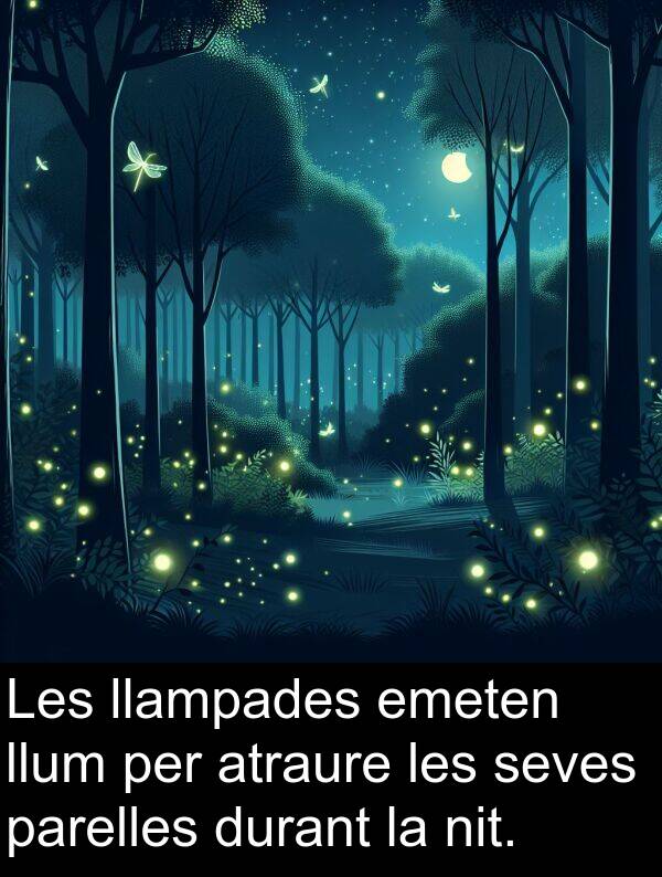 llum: Les llampades emeten llum per atraure les seves parelles durant la nit.