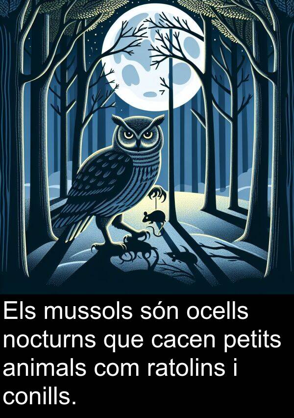 mussols: Els mussols són ocells nocturns que cacen petits animals com ratolins i conills.