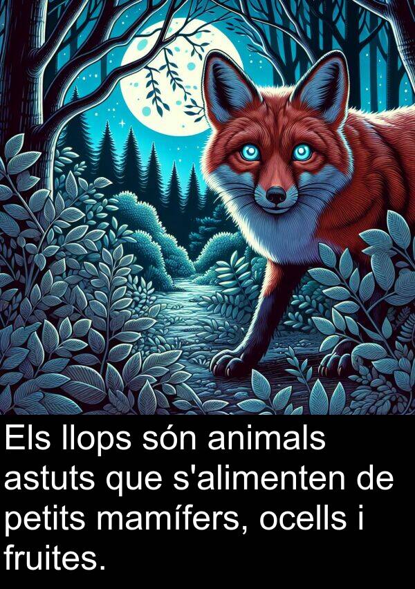 mamífers: Els llops són animals astuts que s'alimenten de petits mamífers, ocells i fruites.