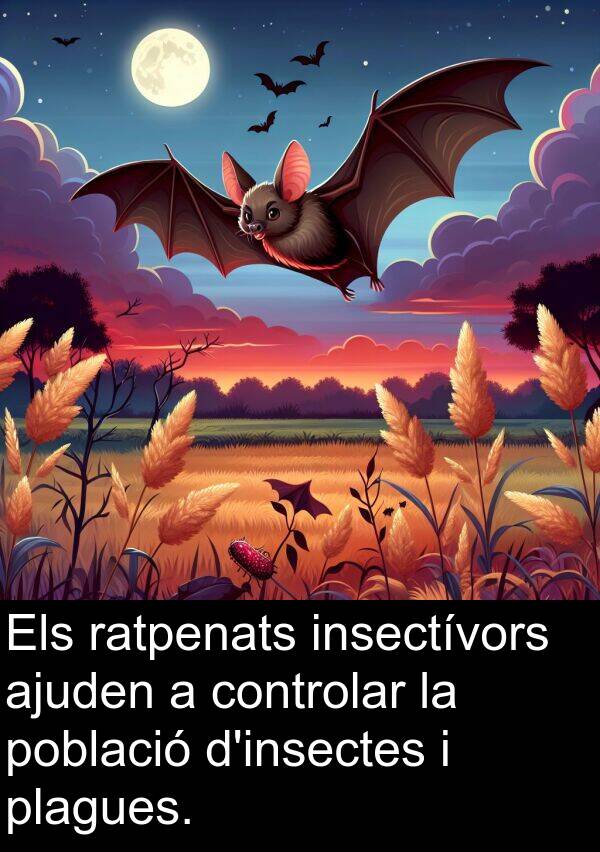 controlar: Els ratpenats insectívors ajuden a controlar la població d'insectes i plagues.