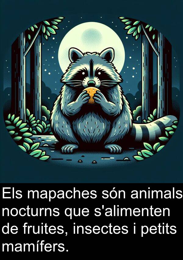 mamífers: Els mapaches són animals nocturns que s'alimenten de fruites, insectes i petits mamífers.