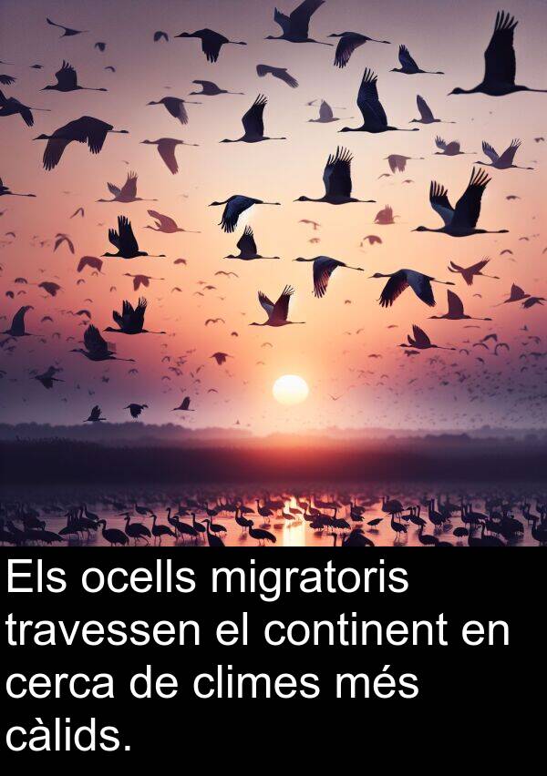 càlids: Els ocells migratoris travessen el continent en cerca de climes més càlids.