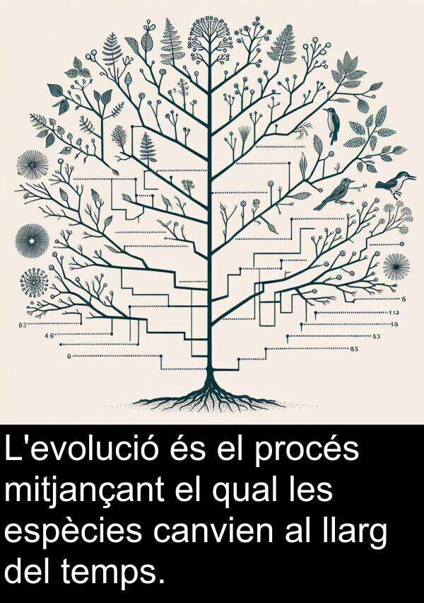 procés: L'evolució és el procés mitjançant el qual les espècies canvien al llarg del temps.
