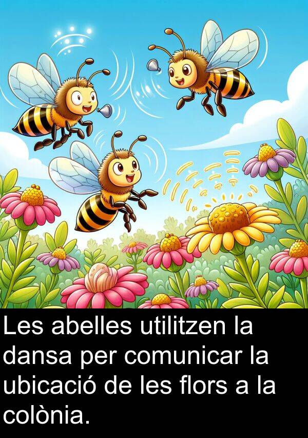 comunicar: Les abelles utilitzen la dansa per comunicar la ubicació de les flors a la colònia.