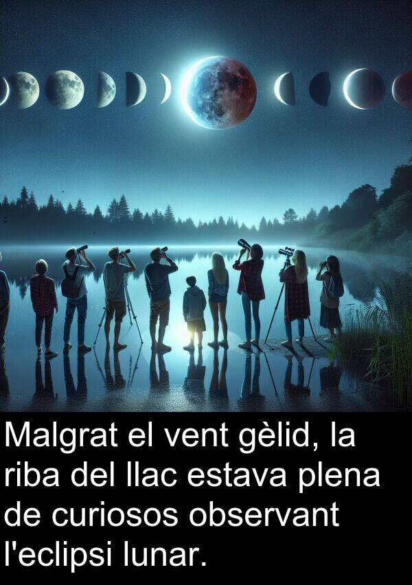 vent: Malgrat el vent gèlid, la riba del llac estava plena de curiosos observant l'eclipsi lunar.