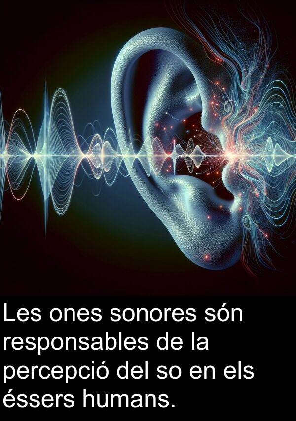 humans: Les ones sonores són responsables de la percepció del so en els éssers humans.
