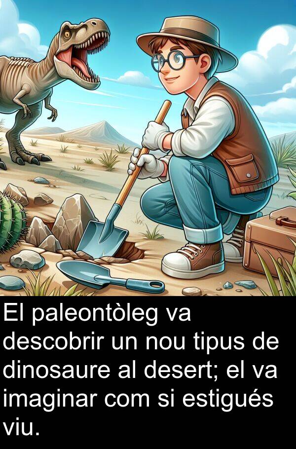 descobrir: El paleontòleg va descobrir un nou tipus de dinosaure al desert; el va imaginar com si estigués viu.