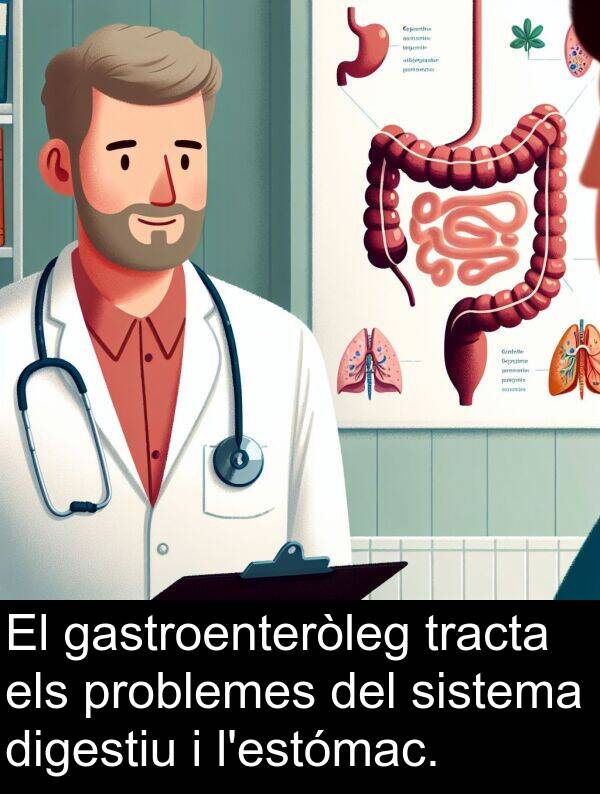 tracta: El gastroenteròleg tracta els problemes del sistema digestiu i l'estómac.