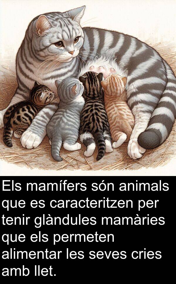 mamífers: Els mamífers són animals que es caracteritzen per tenir glàndules mamàries que els permeten alimentar les seves cries amb llet.