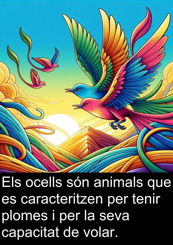 capacitat: Els ocells són animals que es caracteritzen per tenir plomes i per la seva capacitat de volar.