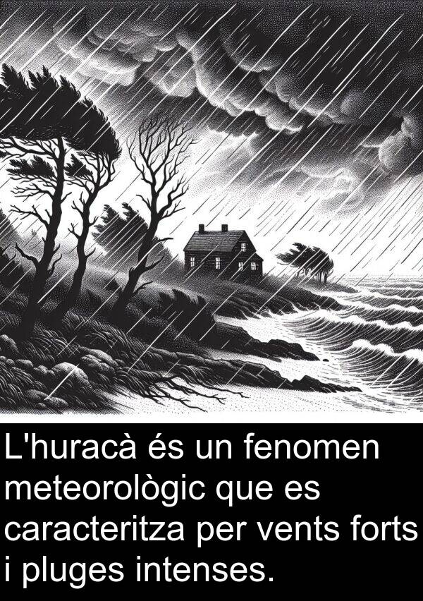 vents: L'huracà és un fenomen meteorològic que es caracteritza per vents forts i pluges intenses.