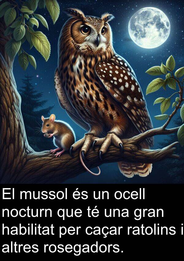 mussol: El mussol és un ocell nocturn que té una gran habilitat per caçar ratolins i altres rosegadors.