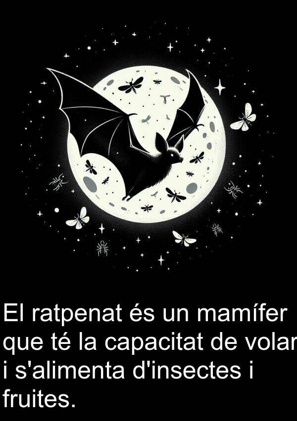 mamífer: El ratpenat és un mamífer que té la capacitat de volar i s'alimenta d'insectes i fruites.