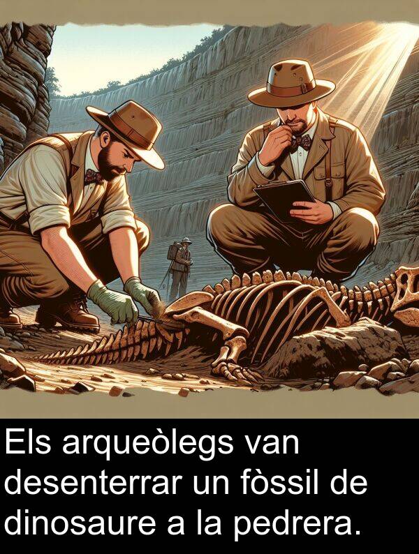 desenterrar: Els arqueòlegs van desenterrar un fòssil de dinosaure a la pedrera.