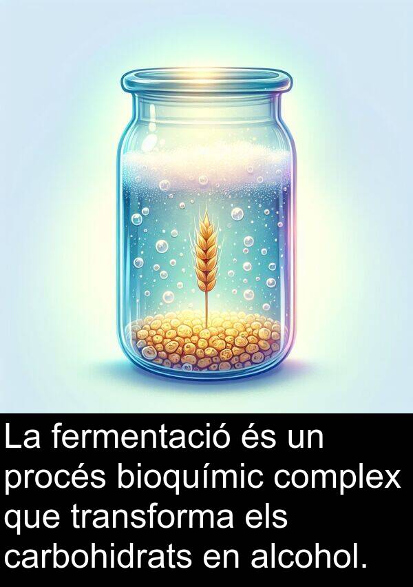 procés: La fermentació és un procés bioquímic complex que transforma els carbohidrats en alcohol.