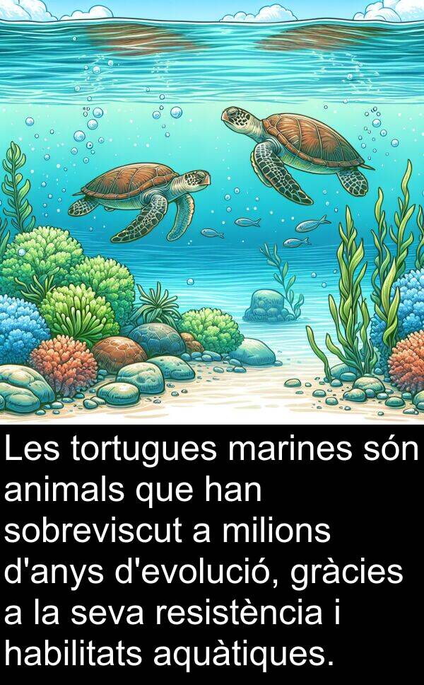 habilitats: Les tortugues marines són animals que han sobreviscut a milions d'anys d'evolució, gràcies a la seva resistència i habilitats aquàtiques.