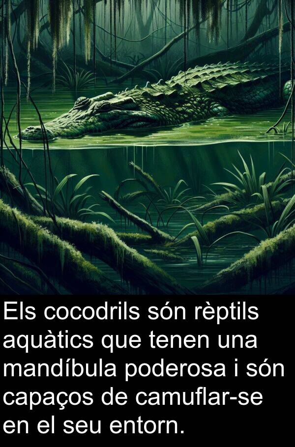 rèptils: Els cocodrils són rèptils aquàtics que tenen una mandíbula poderosa i són capaços de camuflar-se en el seu entorn.