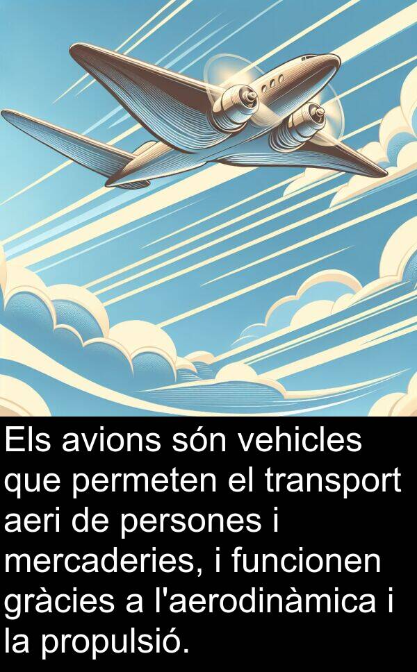permeten: Els avions són vehicles que permeten el transport aeri de persones i mercaderies, i funcionen gràcies a l'aerodinàmica i la propulsió.