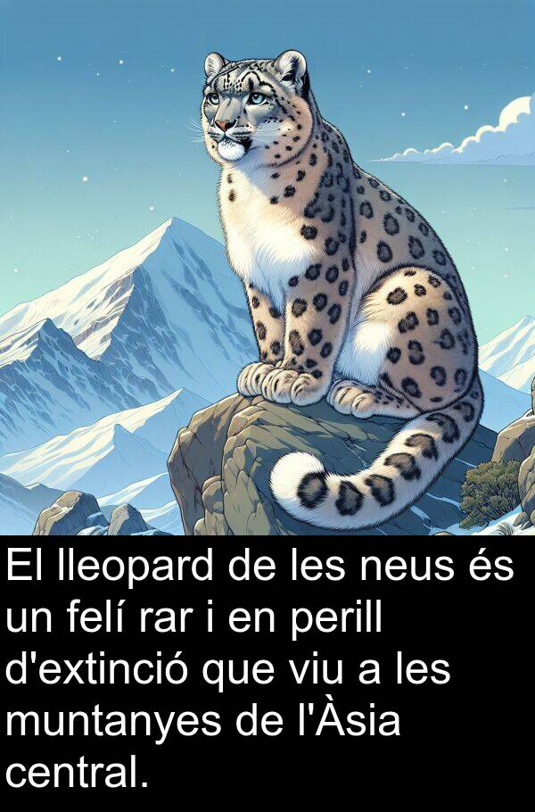 lleopard: El lleopard de les neus és un felí rar i en perill d'extinció que viu a les muntanyes de l'Àsia central.