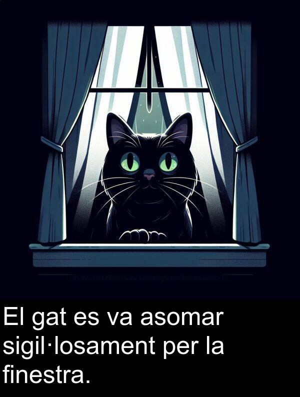 asomar: El gat es va asomar sigil·losament per la finestra.