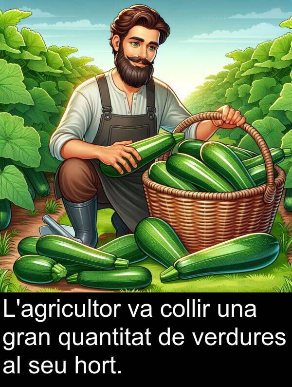 hort: L'agricultor va collir una gran quantitat de verdures al seu hort.