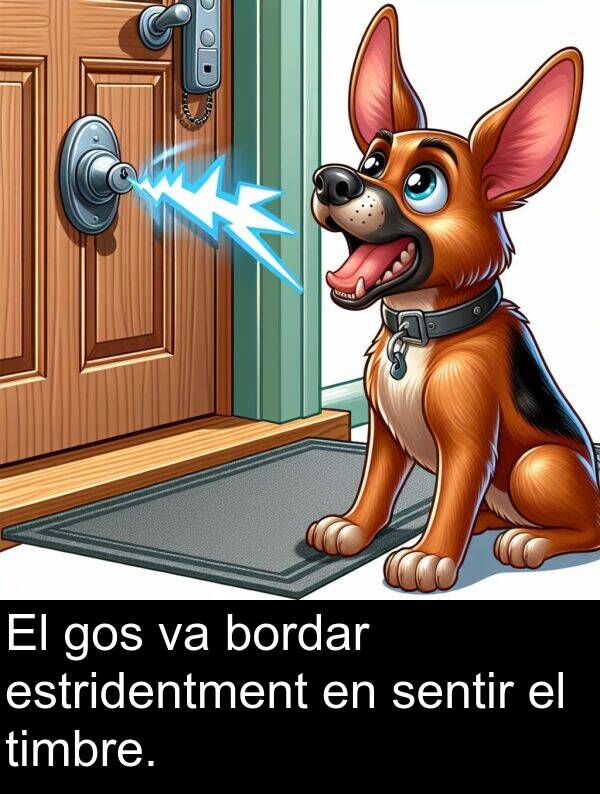timbre: El gos va bordar estridentment en sentir el timbre.