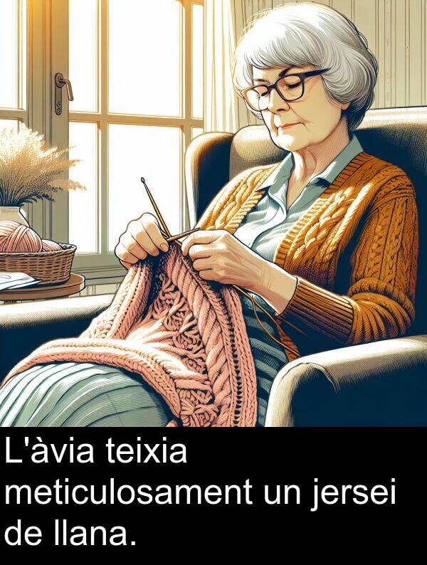 teixia: L'àvia teixia meticulosament un jersei de llana.