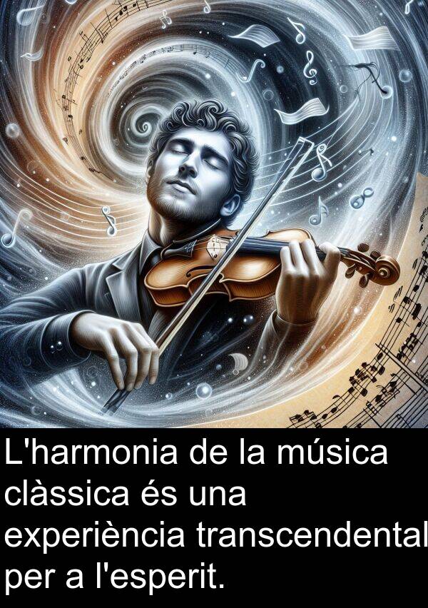 experiència: L'harmonia de la música clàssica és una experiència transcendental per a l'esperit.
