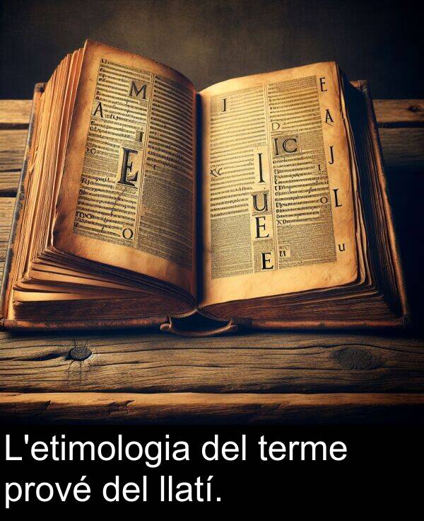 terme: L'etimologia del terme prové del llatí.