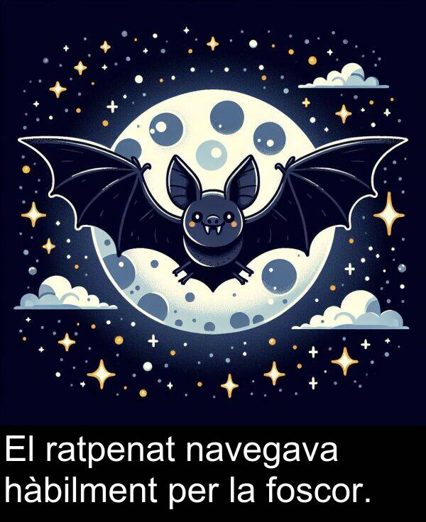 navegava: El ratpenat navegava hàbilment per la foscor.