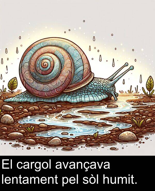 sòl: El cargol avançava lentament pel sòl humit.