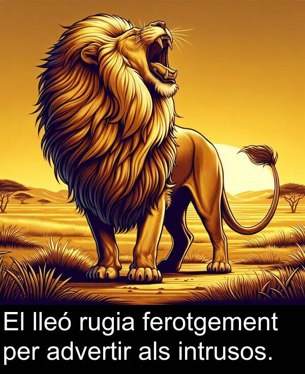 lleó: El lleó rugia ferotgement per advertir als intrusos.