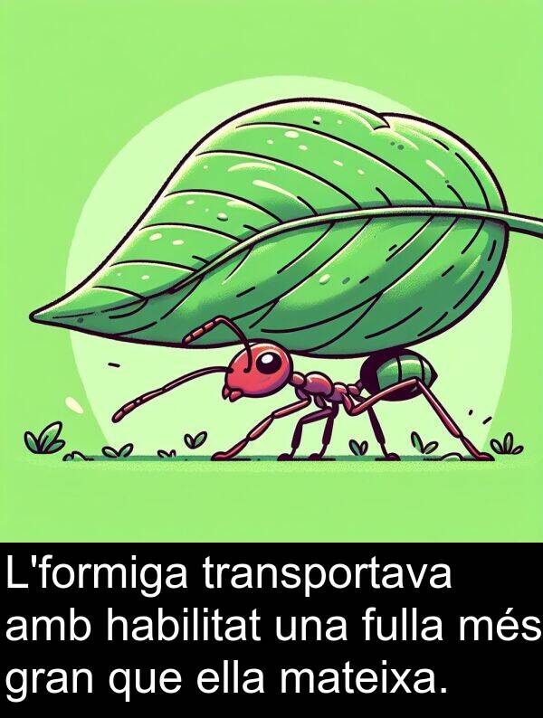 ella: L'formiga transportava amb habilitat una fulla més gran que ella mateixa.