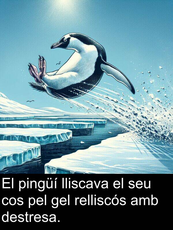cos: El pingüí lliscava el seu cos pel gel relliscós amb destresa.