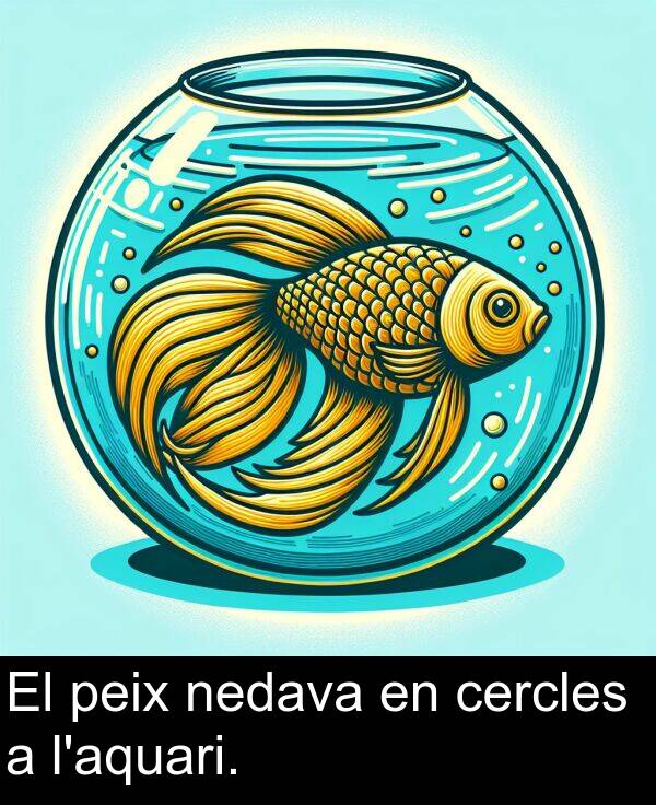 nedava: El peix nedava en cercles a l'aquari.