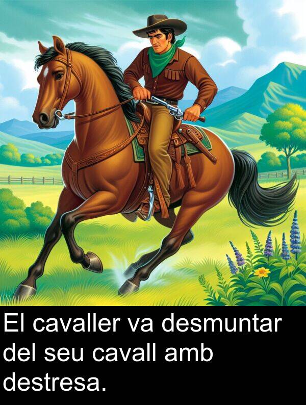 cavaller: El cavaller va desmuntar del seu cavall amb destresa.