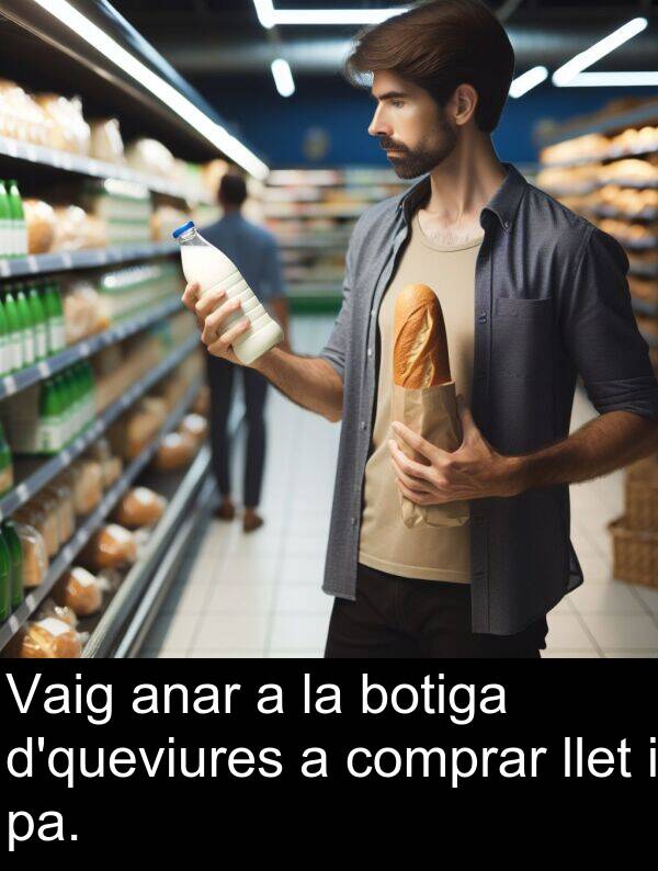 anar: Vaig anar a la botiga d'queviures a comprar llet i pa.