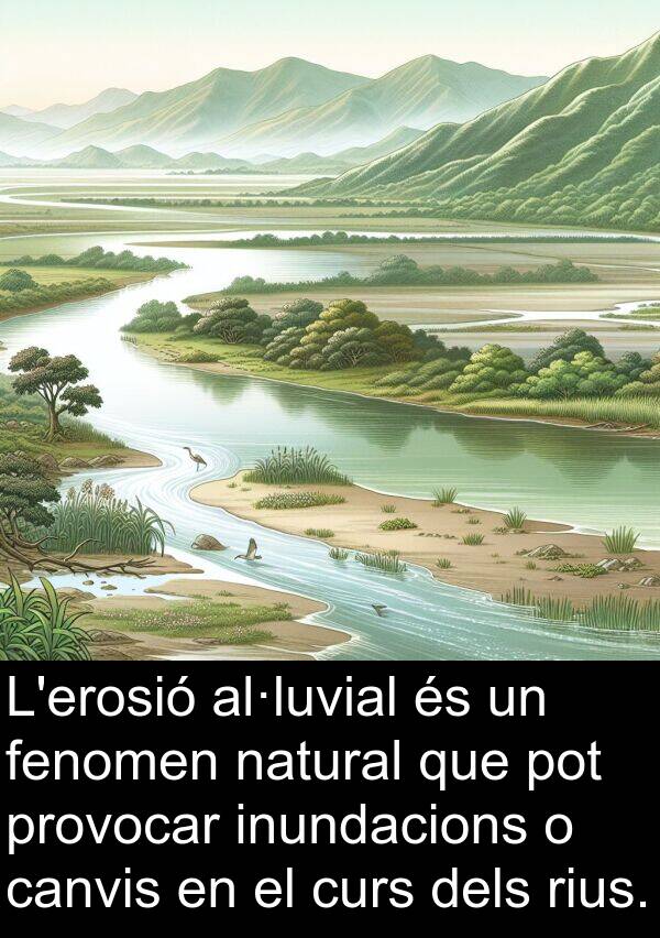 natural: L'erosió al·luvial és un fenomen natural que pot provocar inundacions o canvis en el curs dels rius.