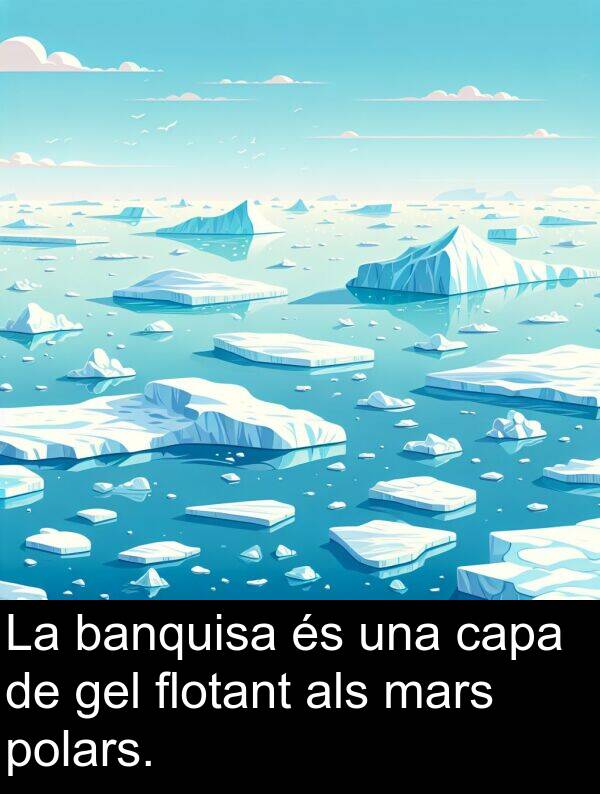 polars: La banquisa és una capa de gel flotant als mars polars.
