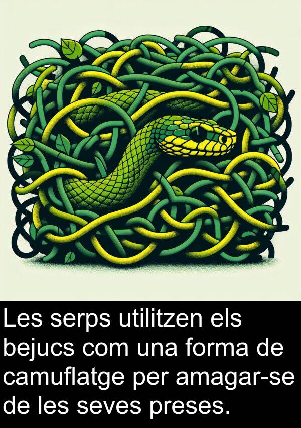 forma: Les serps utilitzen els bejucs com una forma de camuflatge per amagar-se de les seves preses.
