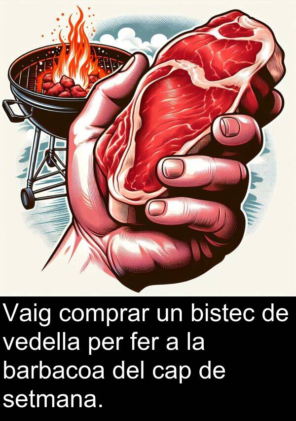 setmana: Vaig comprar un bistec de vedella per fer a la barbacoa del cap de setmana.