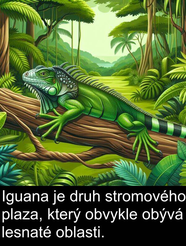 plaza: Iguana je druh stromového plaza, který obvykle obývá lesnaté oblasti.