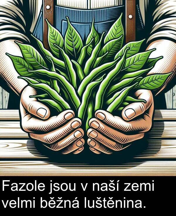 běžná: Fazole jsou v naší zemi velmi běžná luštěnina.