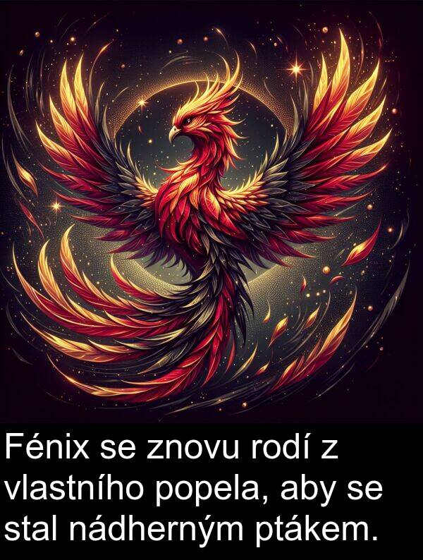 nádherným: Fénix se znovu rodí z vlastního popela, aby se stal nádherným ptákem.