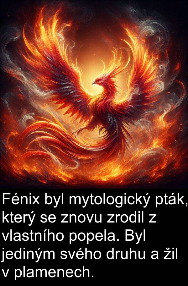žil: Fénix byl mytologický pták, který se znovu zrodil z vlastního popela. Byl jediným svého druhu a žil v plamenech.